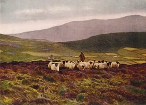 A Mourne-hegységben, Down megye (színes fotó) alkotó: English Photographer