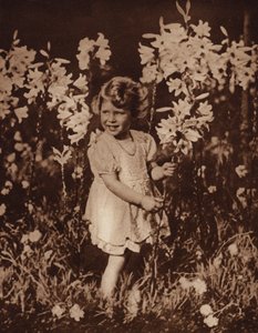 Erzsébet hercegnő a kertben alkotó: English Photographer