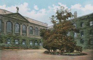 Queens College alkotó: English Photographer