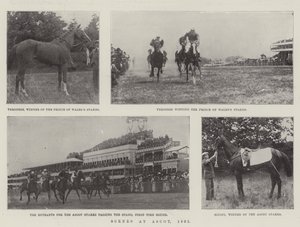 Jelenetek Ascotban, 1901 alkotó: English Photographer