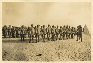 Megmutatja a Coy-m egy részét a Shusha-i líbiai sivatagban tartott parádén, 1916. szeptember 6:30 (f/w fotó) alkotó: English Photographer