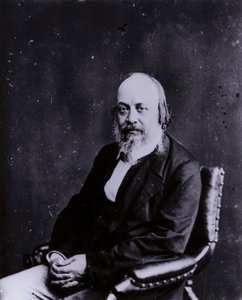 Sir Edwin Chadwick, angol szociális reformer, aki hozzájárult a rossz törvények megváltoztatásához, valamint a közegészségügy és a higiénia javításához (f/w fotó) alkotó: English Photographer
