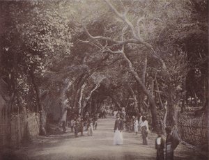 Skinners Road, Colombo (színes fotó) alkotó: English Photographer