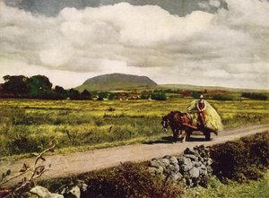 Slemish, Antrim megye (színes fénykép) alkotó: English Photographer
