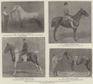 Néhány díjnyertes a Royal Dublin Horse Show-n alkotó: English Photographer