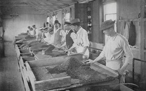 Dél-Afrika: Searching Tables, De Beers Diamond Mines, Kimberley (f/w fotó) alkotó: English Photographer