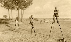 Gólyalábak (fekete-fehér fotó) alkotó: English Photographer