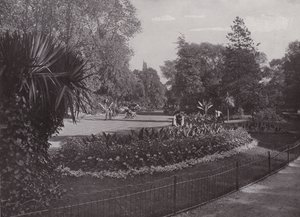 Szubtrópusi kertek, Battersea Park alkotó: English Photographer