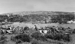 Suvla Bay, Gallipoli at Chocolate Hill, 1915 körül alkotó: English Photographer