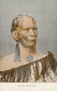 Tangata maori főnök (fotó) alkotó: English Photographer