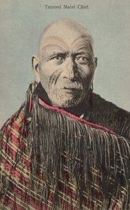 Maori főnök tatuval (fotó) alkotó: English Photographer