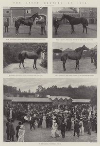 Az 1901-es ascoti találkozó alkotó: English Photographer