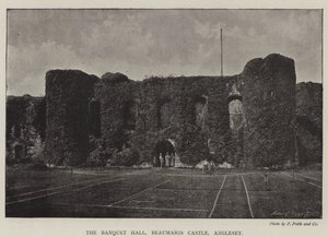 A bankettterem, a Beaumaris-kastély, Anglesey alkotó: English Photographer