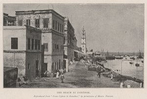 Zanzibár tengerpartja alkotó: English Photographer