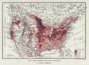 A legfontosabb búzatermő régiók, Észak-Amerika (fénykép) alkotó: English Photographer