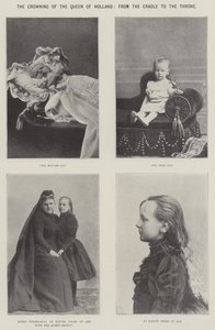 Hollandia királynőjének megkoronázása a bölcsőtől a trónig alkotó: English Photographer