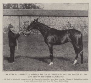 Portlands hercege, Vilmos Harmadik, a Newmarket Stakes győztese és a Derby egyik kedvence alkotó: English Photographer