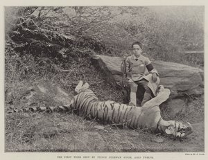 Az első tigris, amelyet Bughwan Singh herceg lőtt, tizenkét éves alkotó: English Photographer