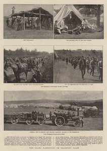 A nagy manőverek a Salisbury-síkságon