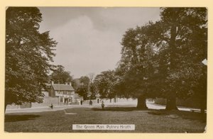 A zöld ember, Putney Heath, London alkotó: English Photographer