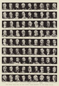 A Home Rule Bill in the Lords, néhány felsőházi tag