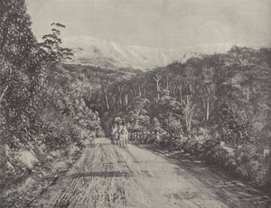 A Huon út alkotó: English Photographer