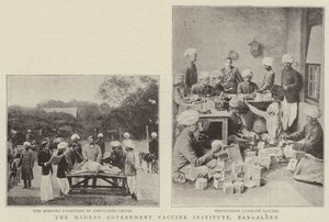 A Madras Kormányzati Vakcina Intézet, Bangalore alkotó: English Photographer