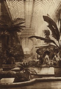 Az északi hajó alkotó: English Photographer