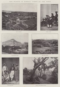 A pestis Bombayben, kilátás a városra