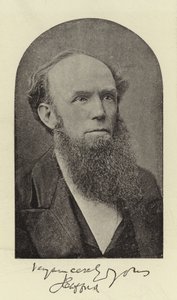 J. Clifford tiszteletes, DD alkotó: English Photographer