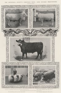 A Smithfield Society karácsonyi bemutatója, néhány jelentős díjnyertes