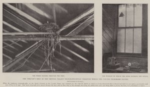 A rigófészek a Crystal Palace távíróirodában, amelyen keresztül a kupakkendős táviratok áthaladtak alkotó: English Photographer