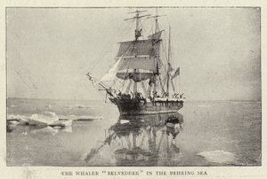 A Belvedere bálnavadász a Bering-tengeren alkotó: English Photographer