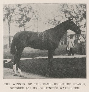 A Cambridgeshire-i tét győztese, október 30., Mr. Whitneys Watershed alkotó: English Photographer