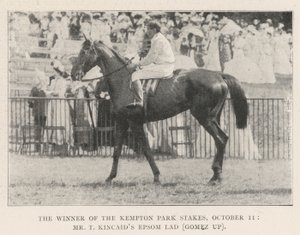 A Kempton Park Stakes győztese, október 11., Mr. T. Kincaids Epsom Lad (Gomez fel) alkotó: English Photographer