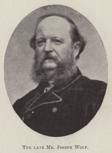A néhai Wolf József úr alkotó: English Photographer
