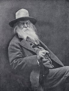 Walt Whitman (fekete-fehér fotó) alkotó: English Photographer
