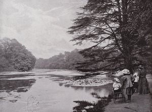 Wanstead Park alkotó: English Photographer