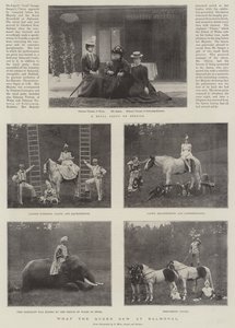 Amit a királynő látott Balmoralban