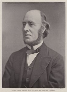 William Edward Hartpole Lecky, LLD, DCL, parlamenti képviselő, a Dublini Egyetemen alkotó: English Photographer