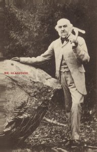 William Ewart Gladstone alkotó: English Photographer