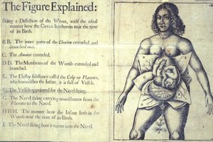 1177 b.19 "The Figure Explained", az anyaméh diagramja, "A szülésznők könyve vagy a szülésznői művészet teljes művészete felfedezett" című könyvéből, Jane Sharp, London alkotó: English School