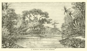 Egy bambusz híd Borneón alkotó: English School