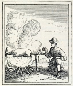 Egy Boucan, Samuel Hazard „Santo Domingo múlt és jelen” című művéből, pub. 1873 alkotó: English School