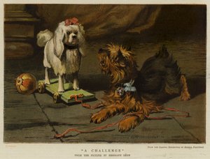 Kihívás (chromolitho) alkotó: English School