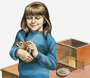 Egy lány és a hörcsöge alkotó: English School