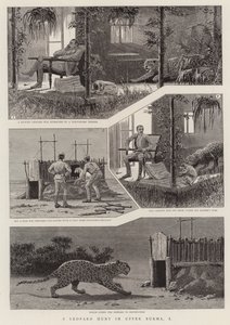 Leopárdvadászat Felső-Burmában, I (metszet) alkotó: English School