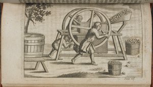 Gyümölcs sajtológép, illusztráció a „Vinetum Britannicum” vagy „A Cyder traktátus” című könyvből alkotó: English School