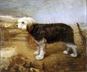 A Sheepdog, Fields Beyond alkotó: English School