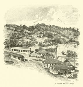Cukorültetvény alkotó: English School
